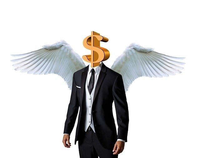 Angel Investor